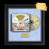Green Day Dookie Album Display Frame